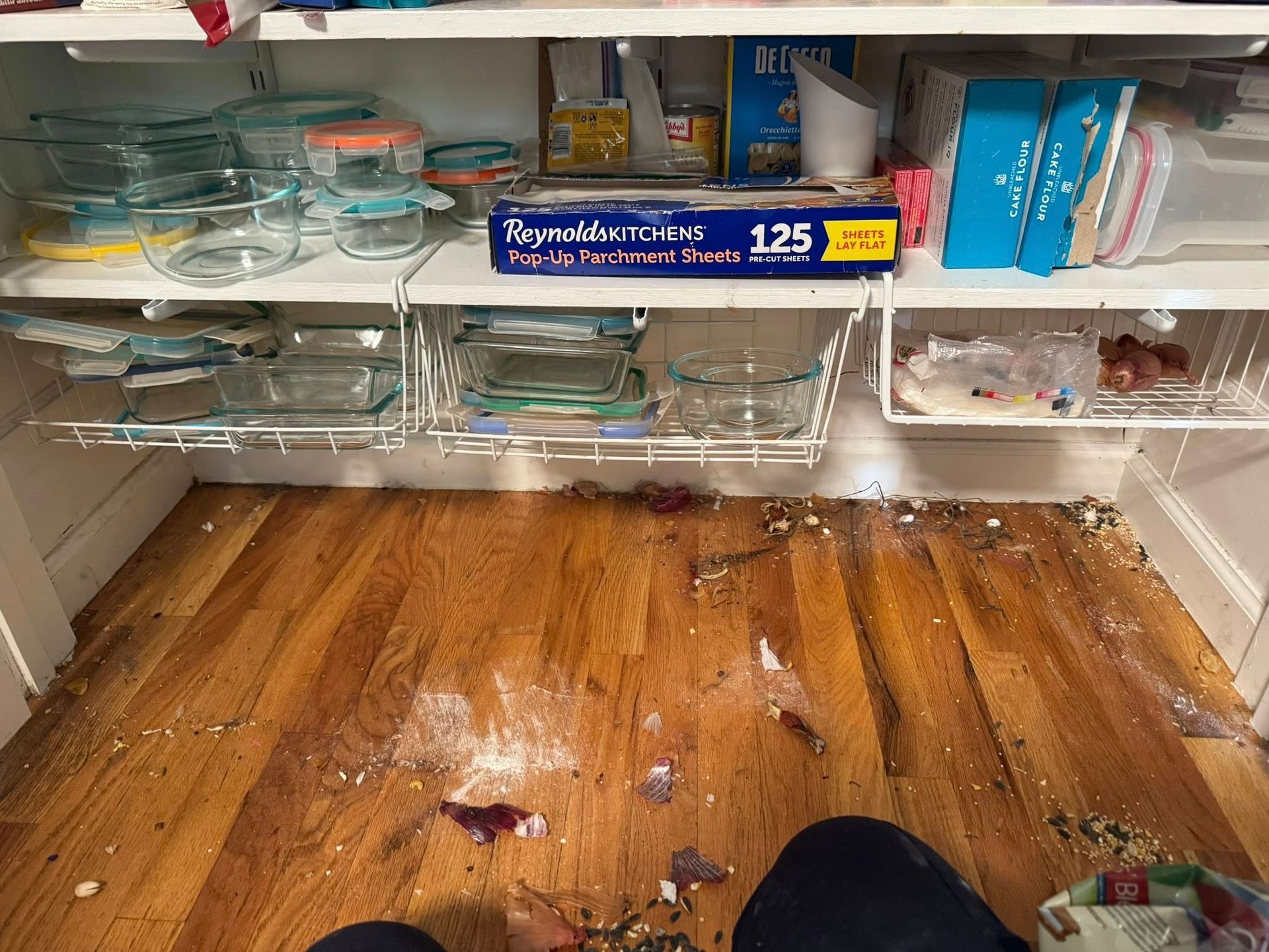 Pantry with broken glass, food debris on floor, and overflowing shelves filled with food containers.