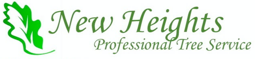 New Heights Logo