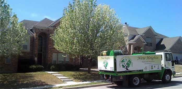 tree care