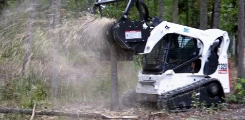 tree trimmers near me