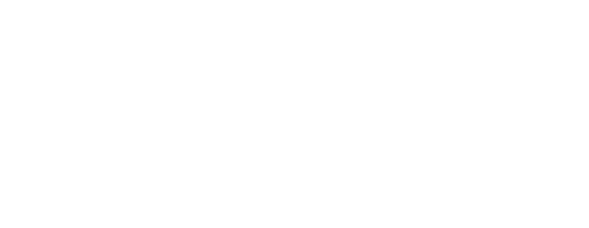 Bibb's Funeral Home logo in white text