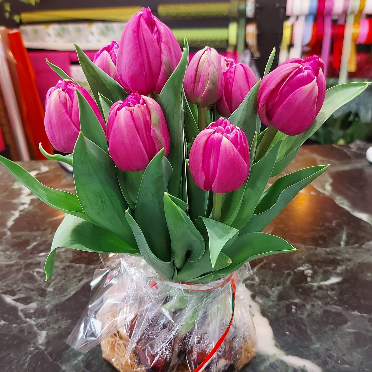tulipani