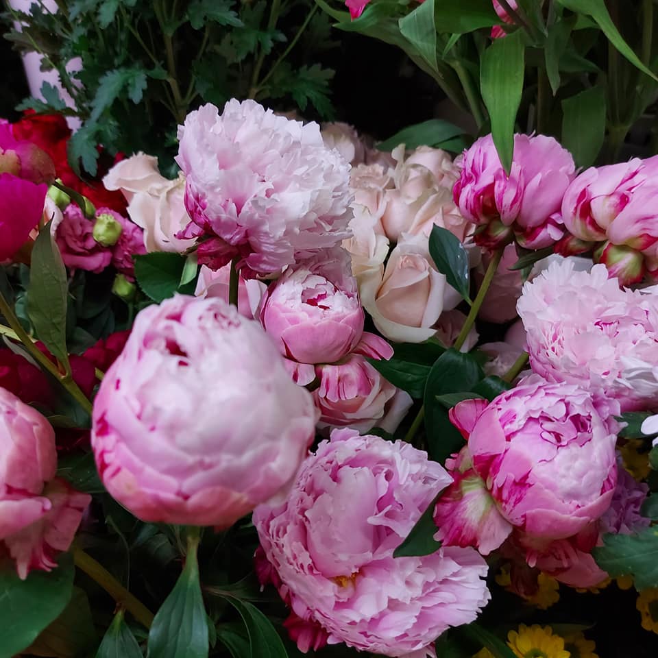 fiori freschi rosa