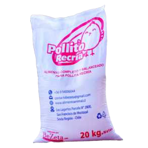 pollito