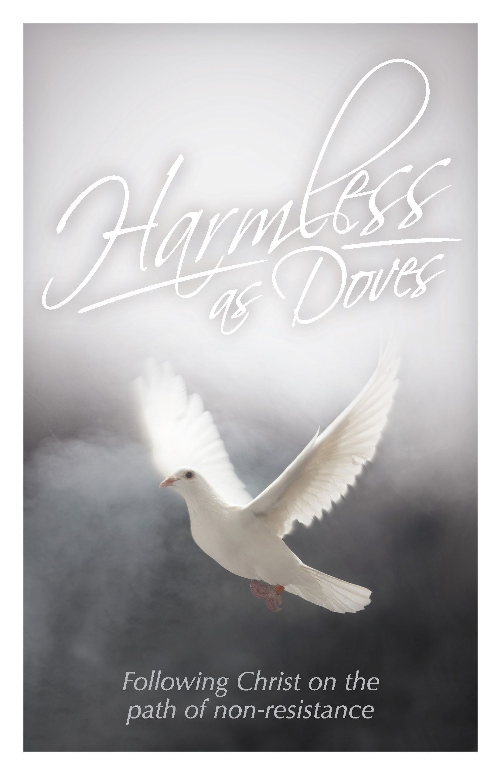 Book Cover - White dove in flight, centered with text 