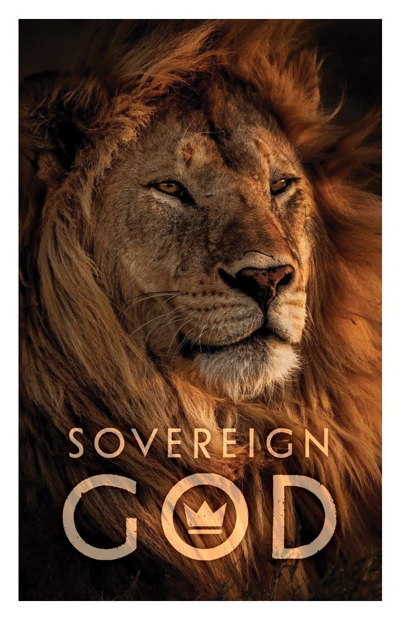 Book Cover - Lion's face with golden mane, text 