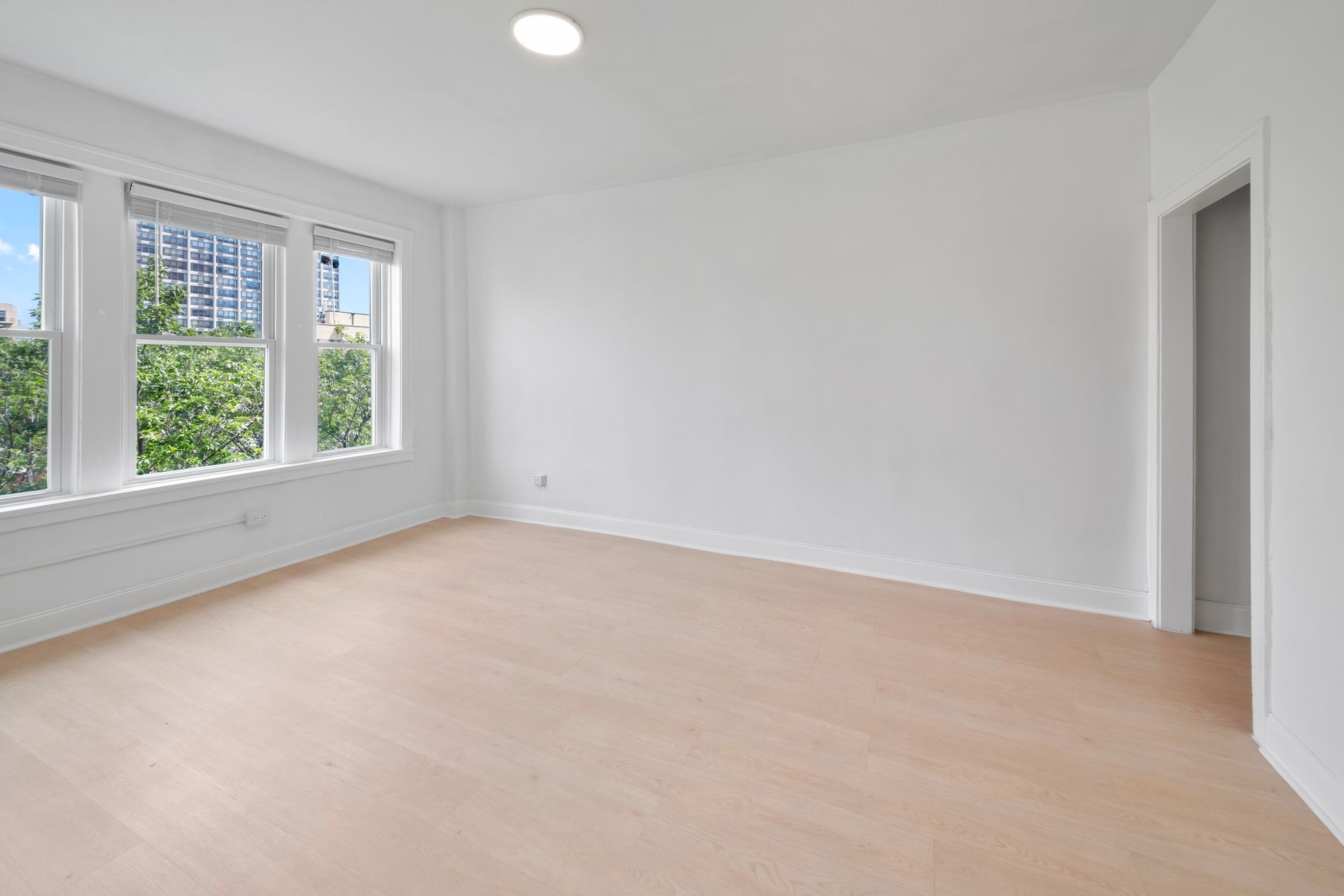 Empty room with light wood floors, white walls, three windows, and an open doorway.