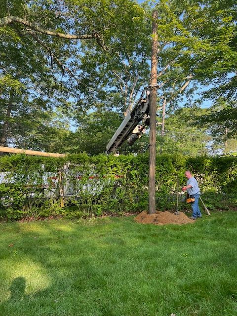 Man using chainsaw at base of tree with machinery attached. Green yard, white fence.