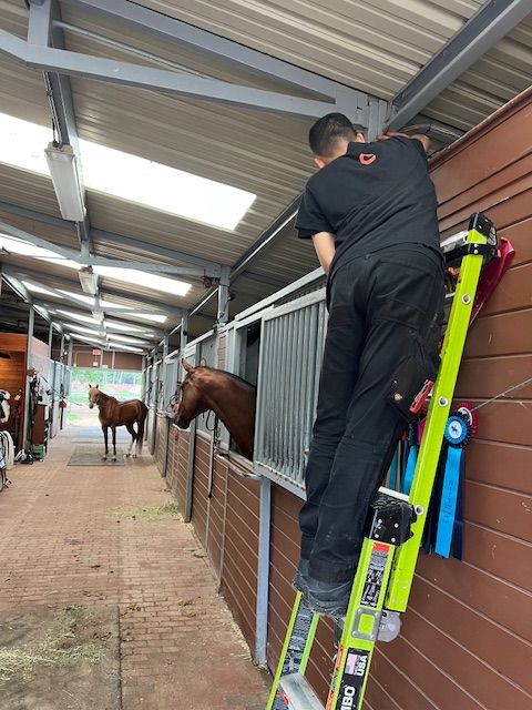 Man on ladder near horse stable, fixing something. Brown horses in stalls.