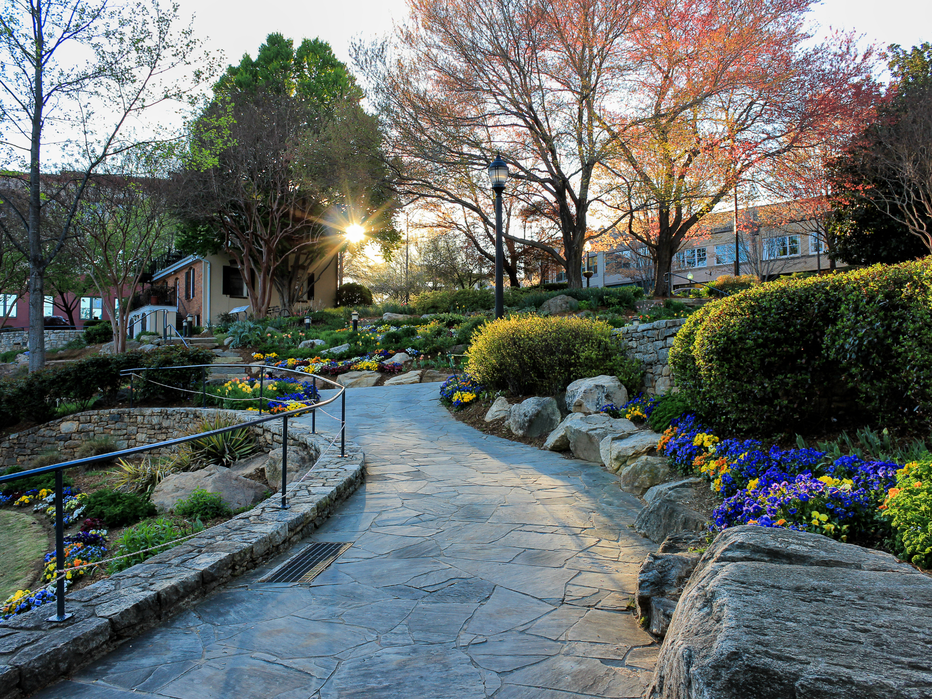 November Traditions and Community Life in Greenville SC