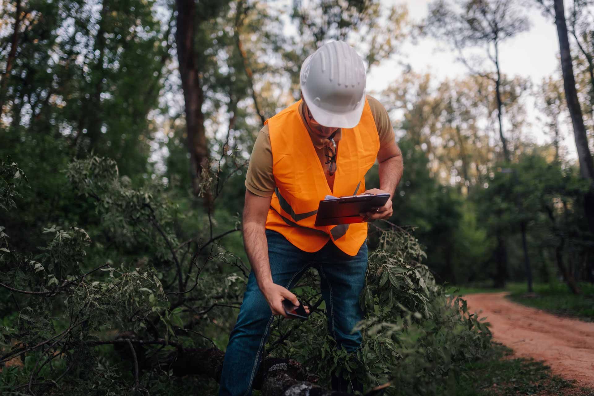 Worker in an orange safety vest and hard hat inspects vegetation beside a dirt path in a wooded area