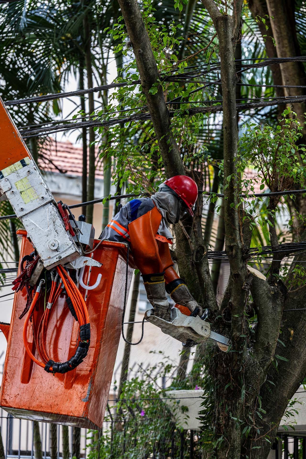 Worker in orange safety gear and red helmet trims tree branches from a lift bucket.