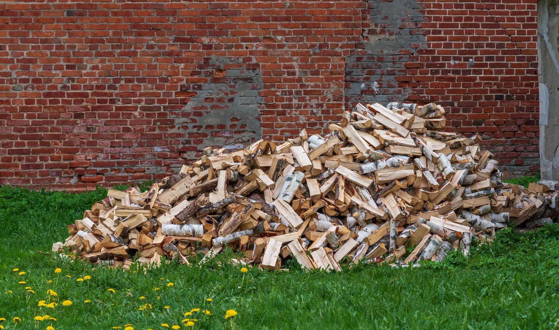 Pile of chopped firewood on grass beside a red brick wall