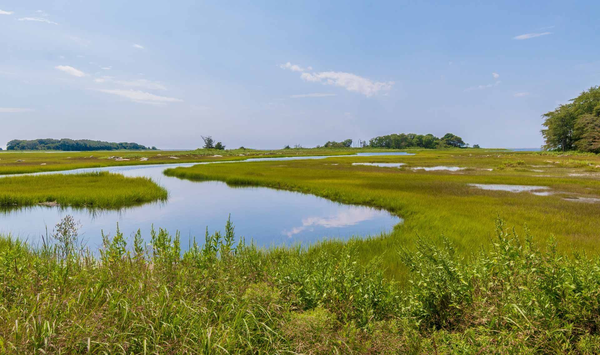 Wetland marsh with winding water, green grasses, and a clear blue sky
