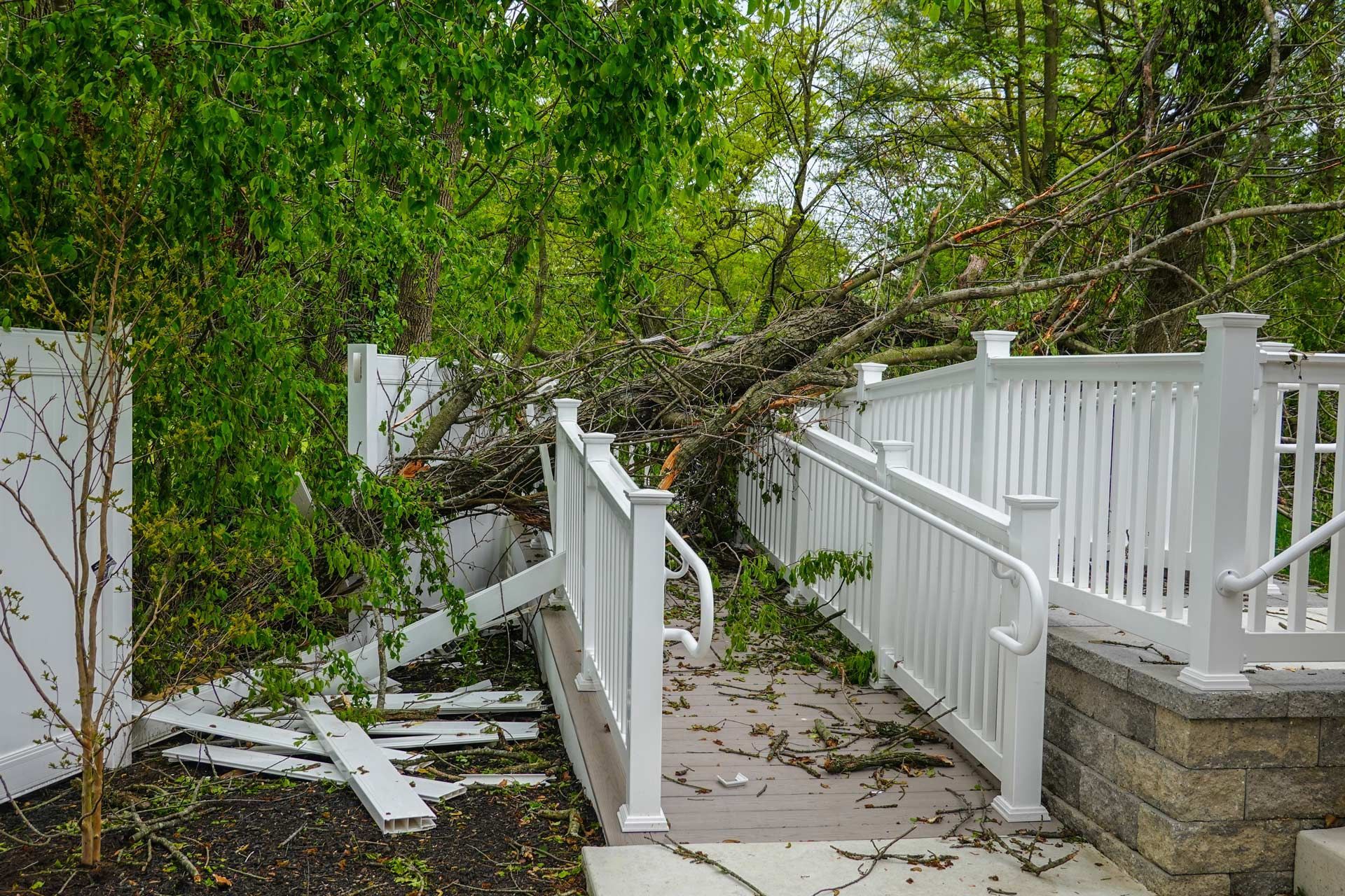 Broken white fence and gate damaged by a fallen tree branch in a leafy yard