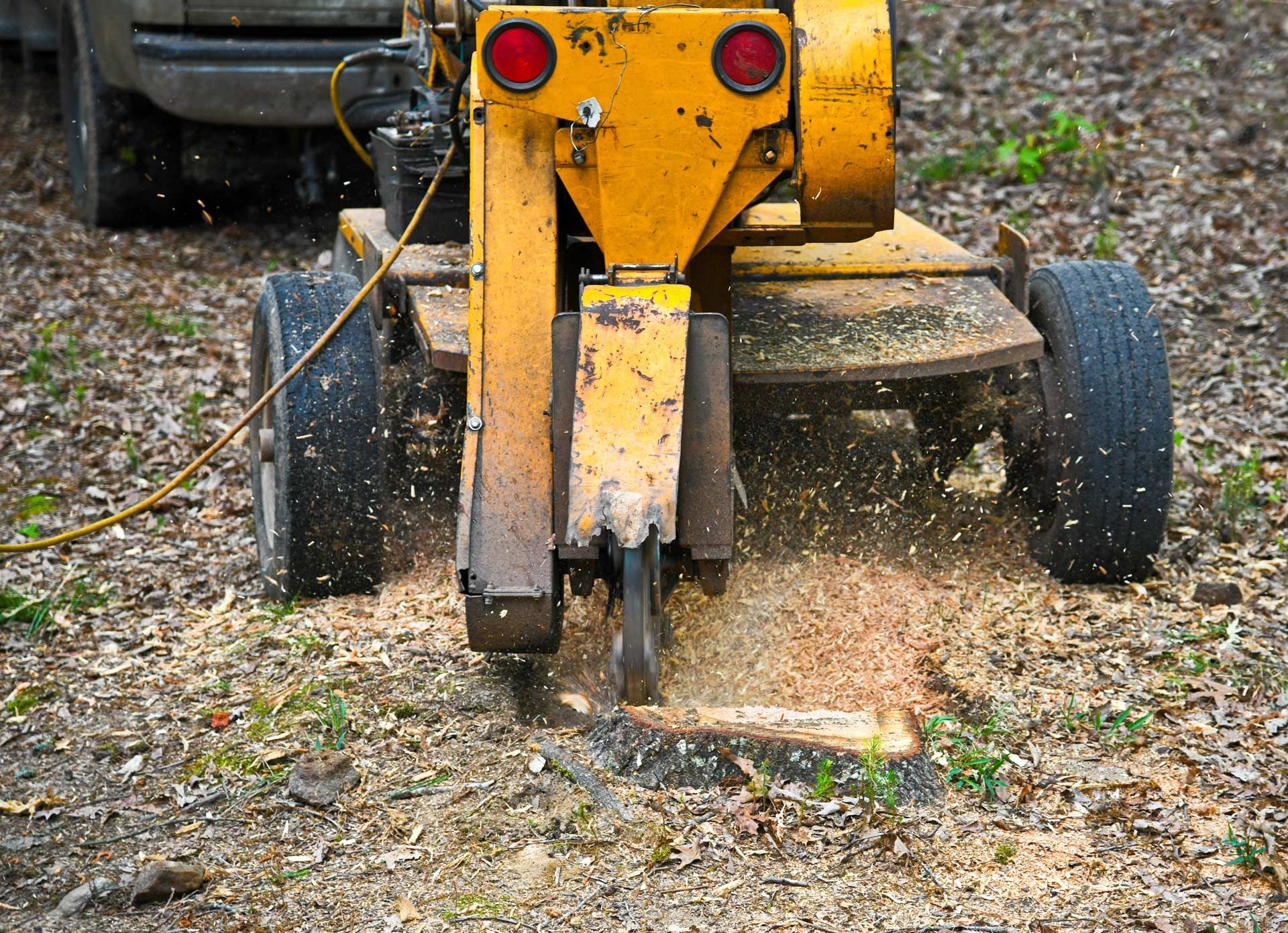 Yellow stump grinder cutting wood chips on a gravel surface outdoors