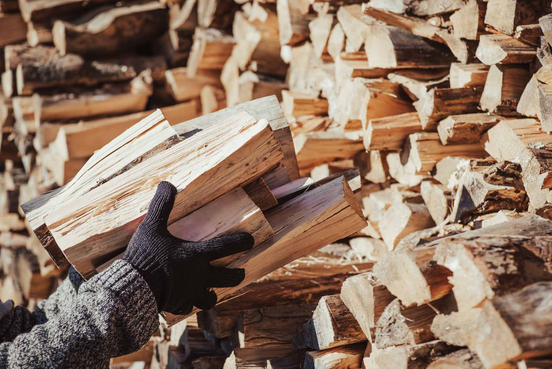 Gloved hand holding split firewood in a large pile of chopped logs