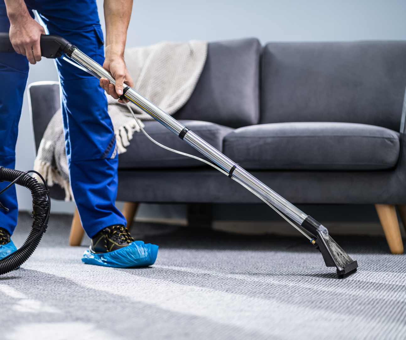 Person vacuuming a gray carpet in a living room with a gray sofa Person vacuuming a gray carpet in a living room with a gray sofa