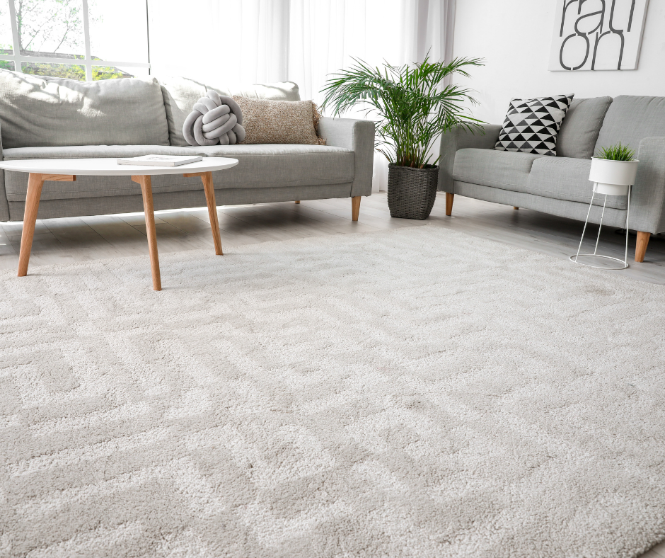 Bright living room with light gray sofas, wooden coffee table, potted plant, and large white rug