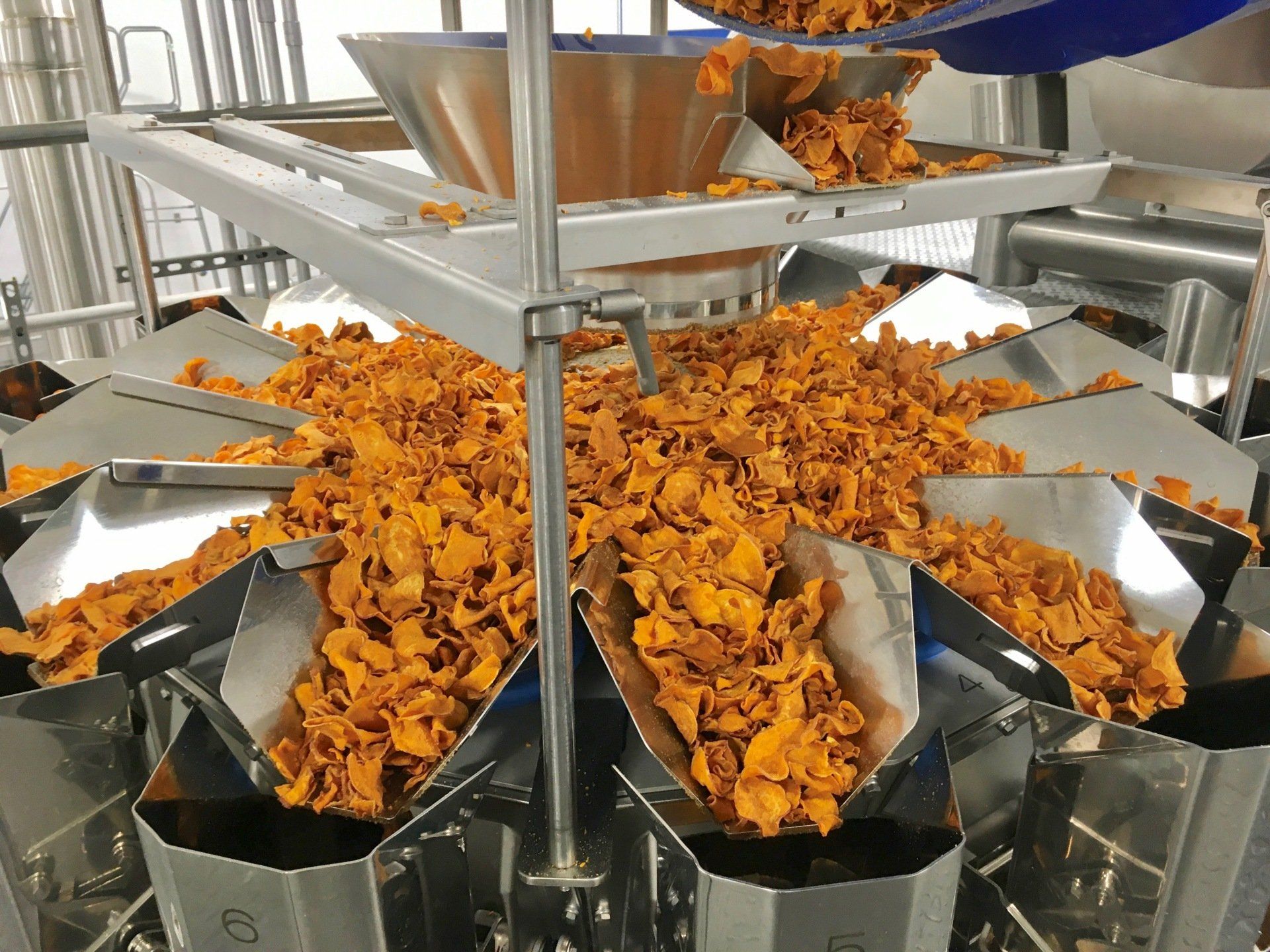 Orange chips being dispensed into multiple angled containers within a stainless steel industrial machine.