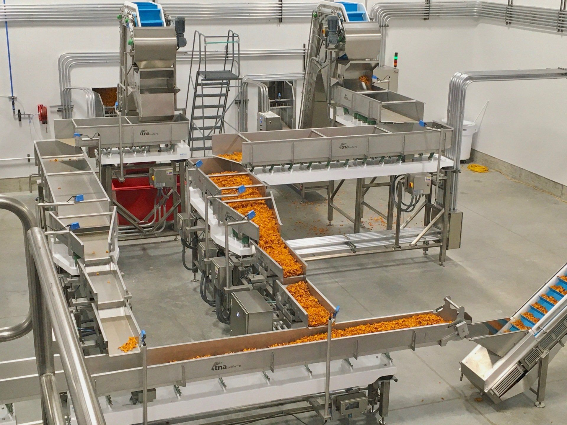 Industrial food processing machinery sorting orange-colored product on conveyors in a sterile facility.