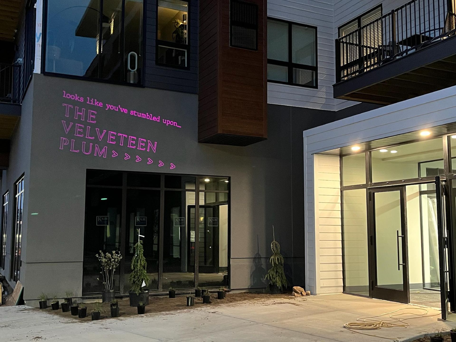 Exterior of The Velveteen Plum. A modern building at dusk, with lit entrance and purple neon sign.
