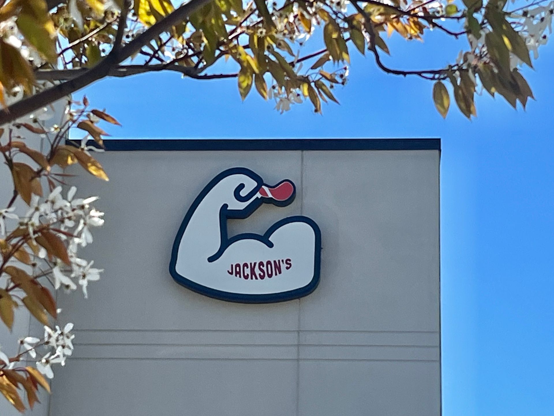Jackson's sign: a white cartoon arm flexing with a red duck head, blue trim, against a beige building, with a blue sky.