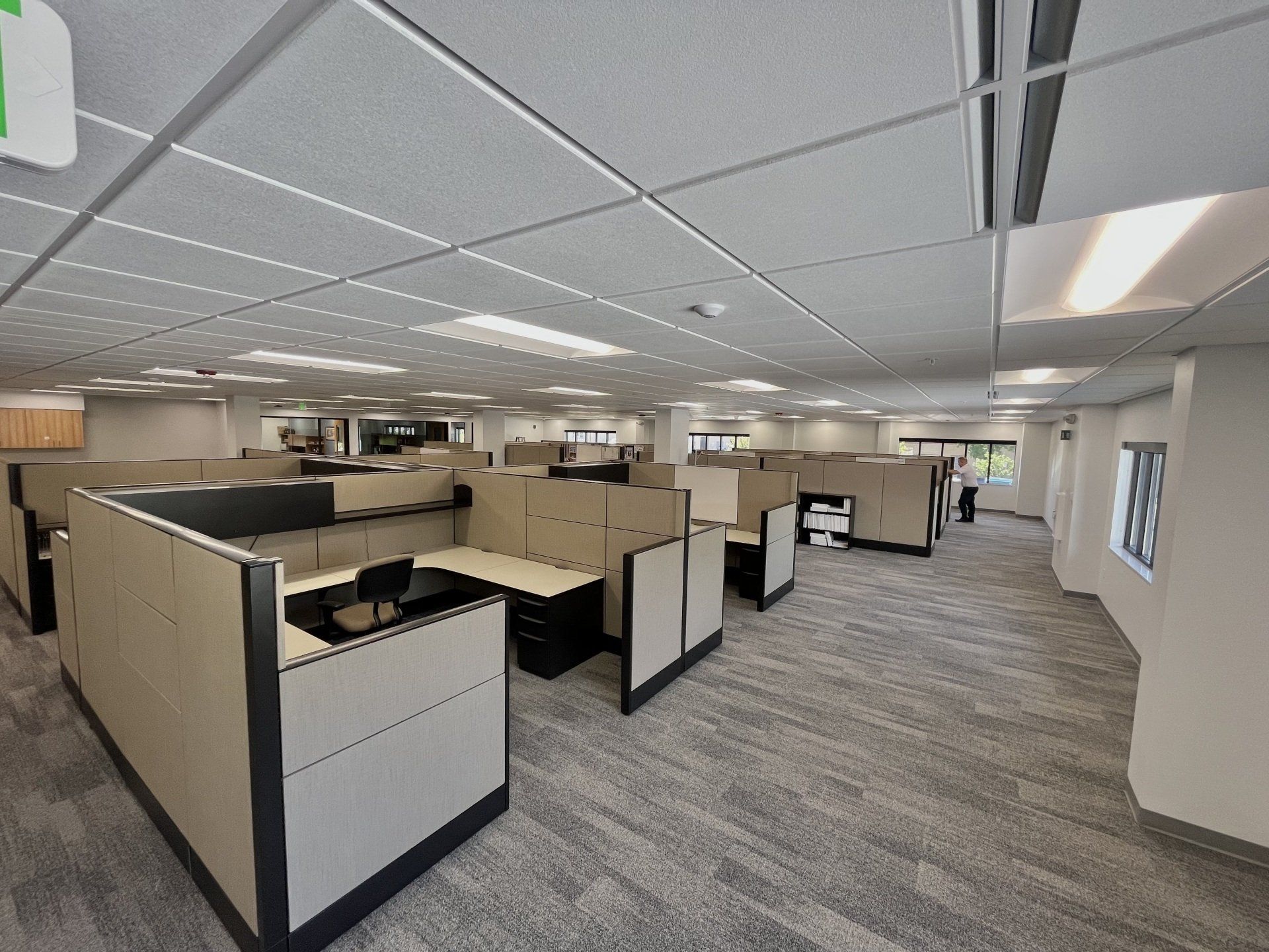 Office interior with cubicles, gray carpet, and a drop ceiling.