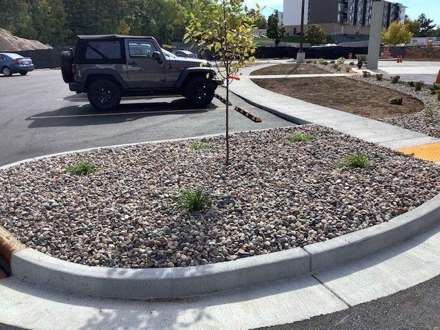 Gravel-covered landscaped bed with small tree and sparse plants in a parking lot, gray Jeep in the background.