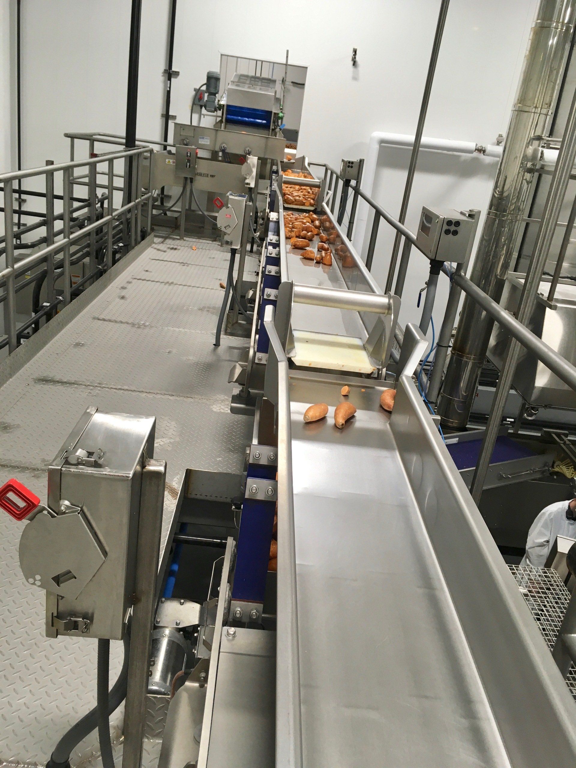 Conveyor belt transporting carrots in a processing facility. Stainless steel machinery, bright lighting.