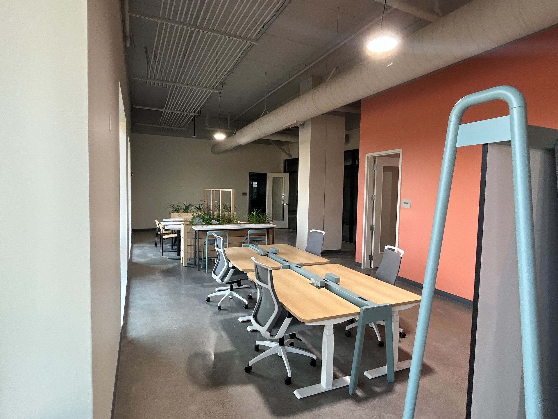 Open office space with desks, chairs, and plants. Salmon colored accent wall.