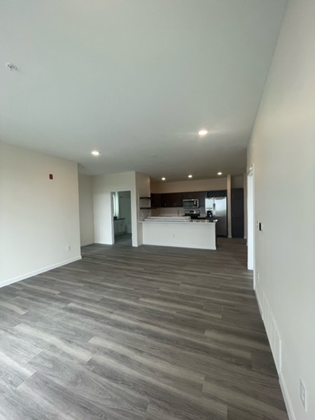 Empty, modern interior space with gray wood-look flooring and white walls. Kitchen visible in the background.