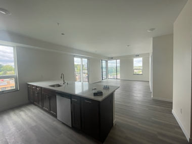 Empty modern kitchen with island, dark cabinets, stainless steel appliances, and large windows.