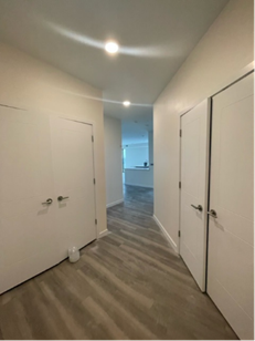 Narrow hallway with gray wood-look flooring, white doors, and recessed lighting.