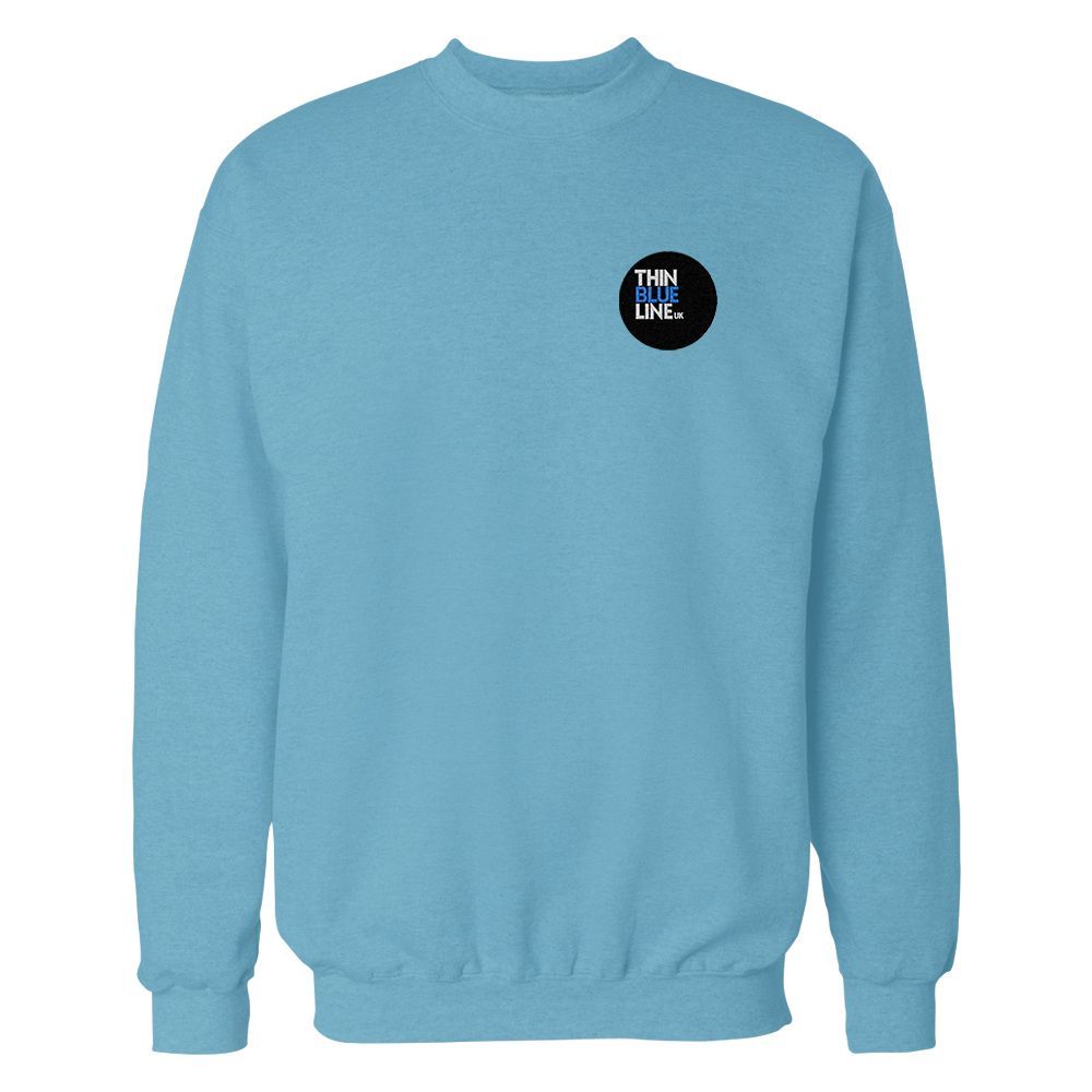 Light blue sweatshirt with small black and blue logo on chest.