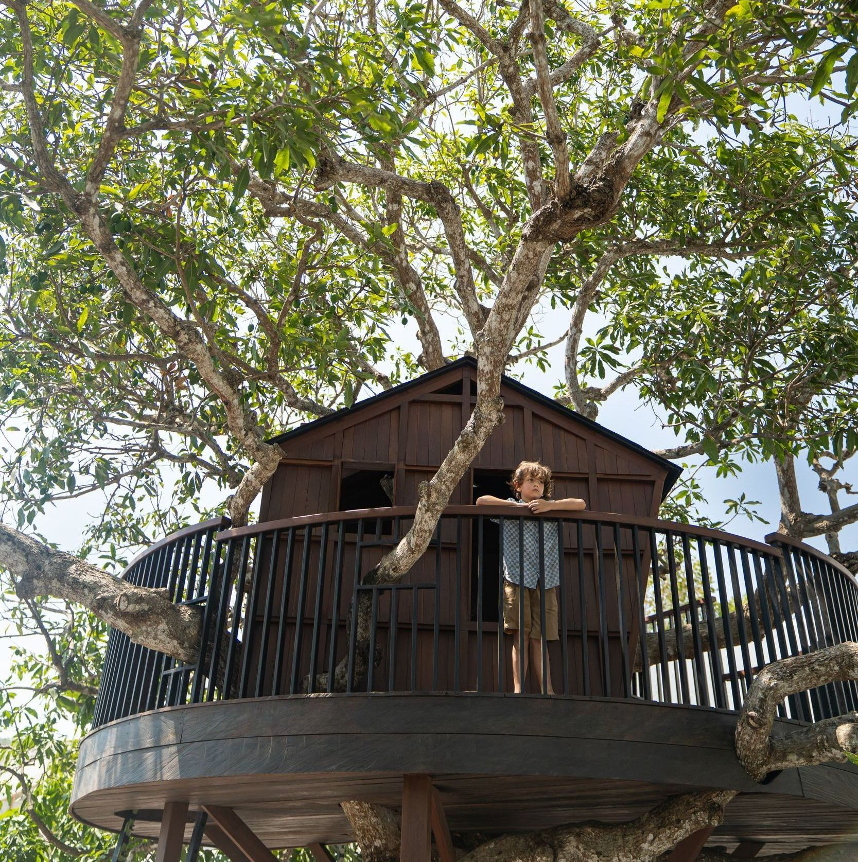 Child standing on a treehouse balcony under dense green branches