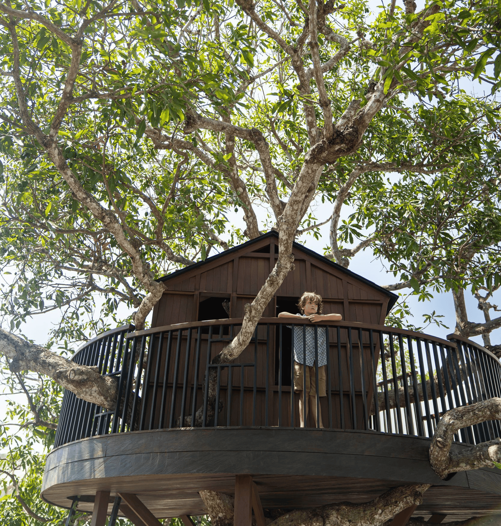 Treehouse balcony with a small dog, surrounded by leafy branches and a wooden cabin exterior.