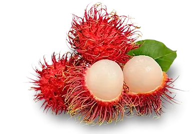 Rambutan fruits with spiky red shells and two peeled, translucent white fruits on a white background