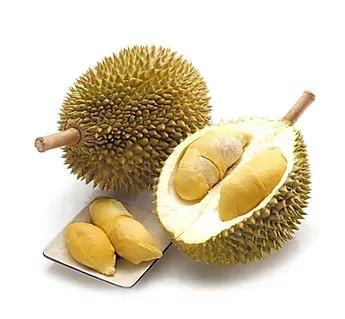 Whole durian fruit, one cut open to reveal yellow flesh, with three durian segments on a tray