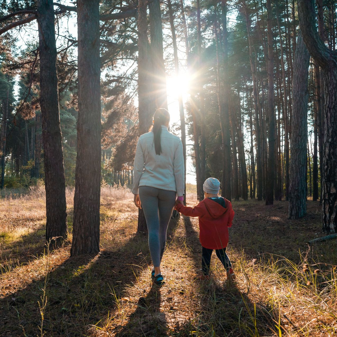 Adult and child walking hand in hand through a sunlit forest