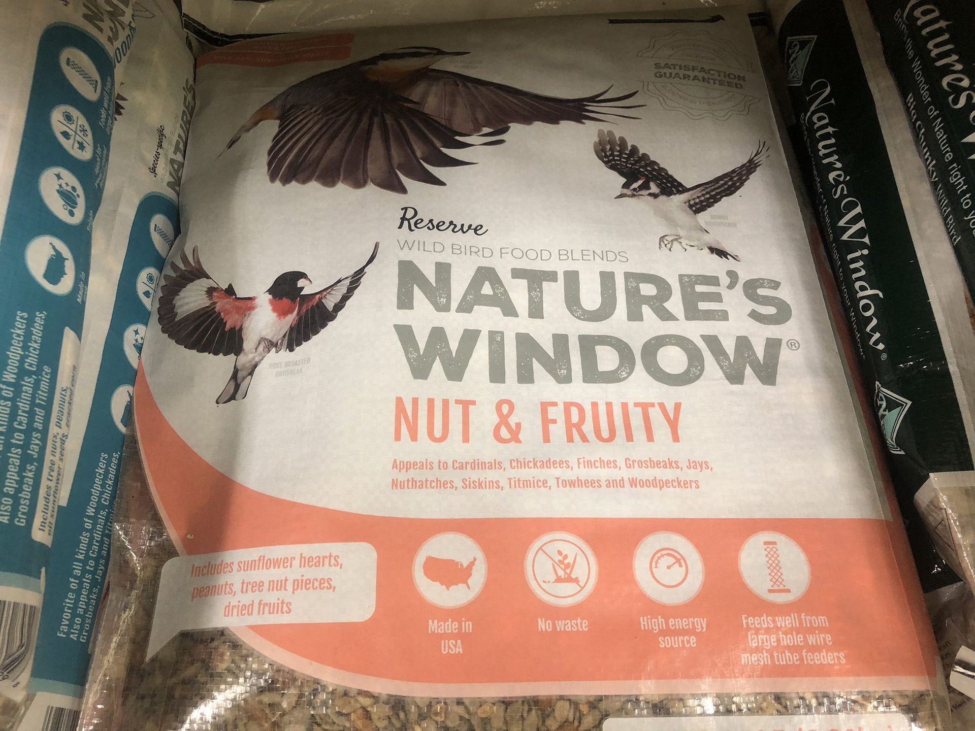 wild bird