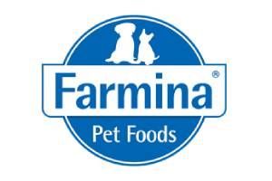 Cat Food
