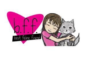 Cat Food