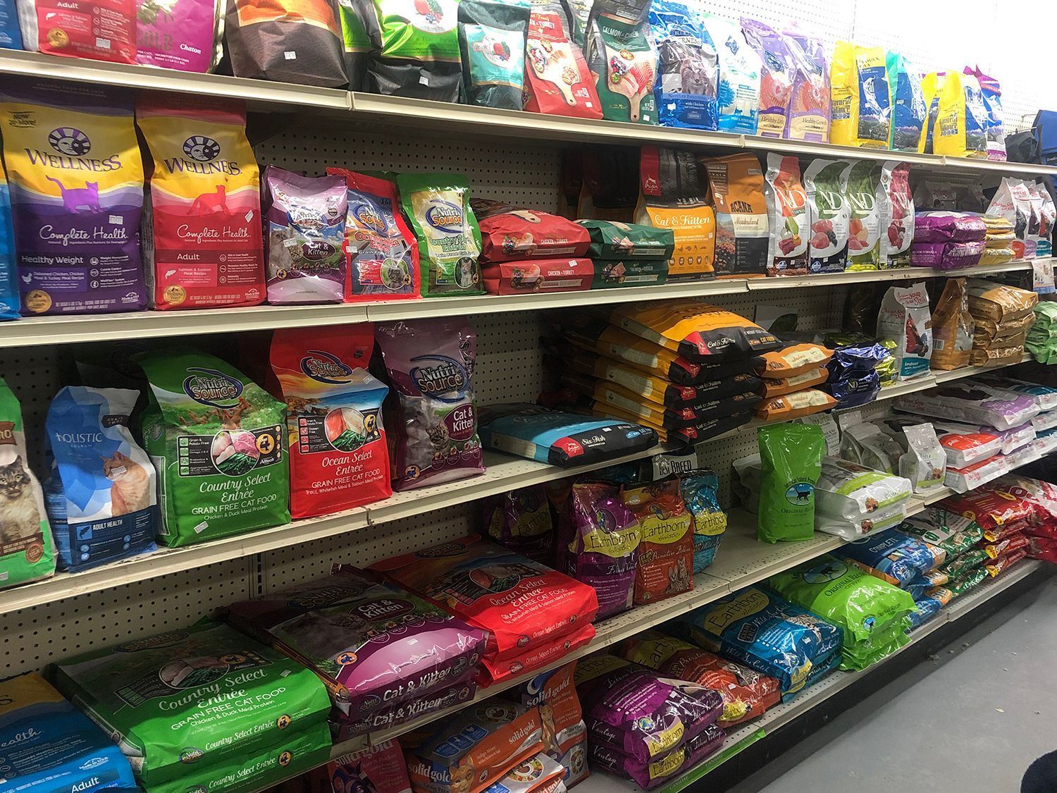 cat food