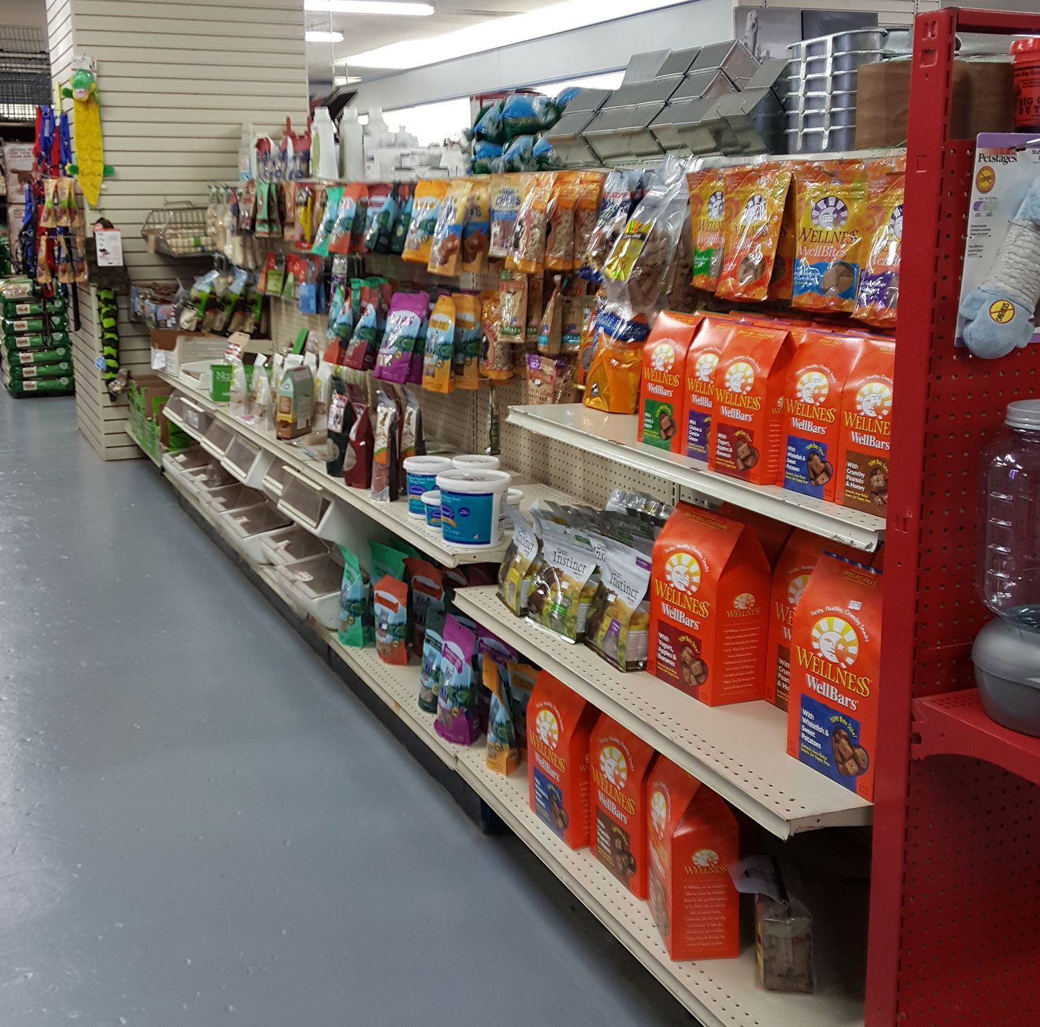 Dog food