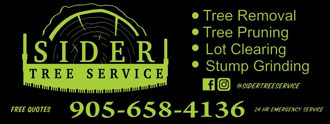 BOARDVIEW ADVERTISING - RINK BOARD ADVERTISING - PRIDE SEEDS - GALE DESIGN GROUP INC.
