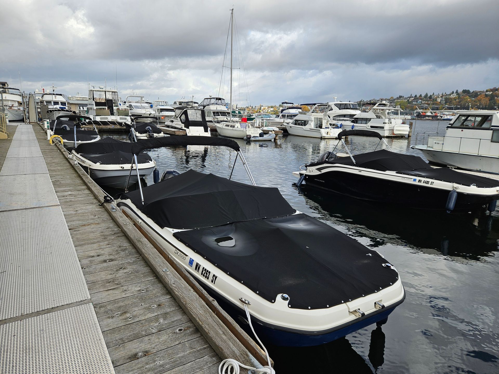 Marina
