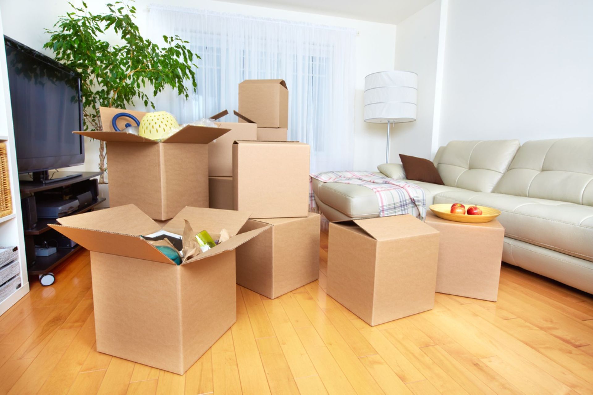 A Living Room Filled With Cardboard Boxes and a Couch — Bellarine Removals In Melton, VIC
