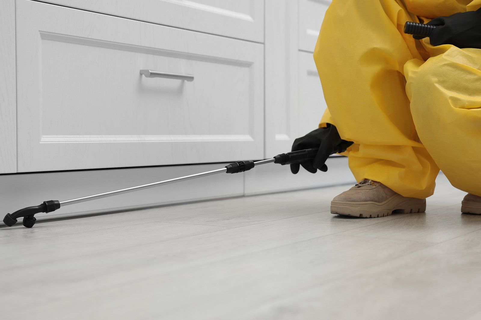 Spider Control Services Near You Spider Control Services Near You