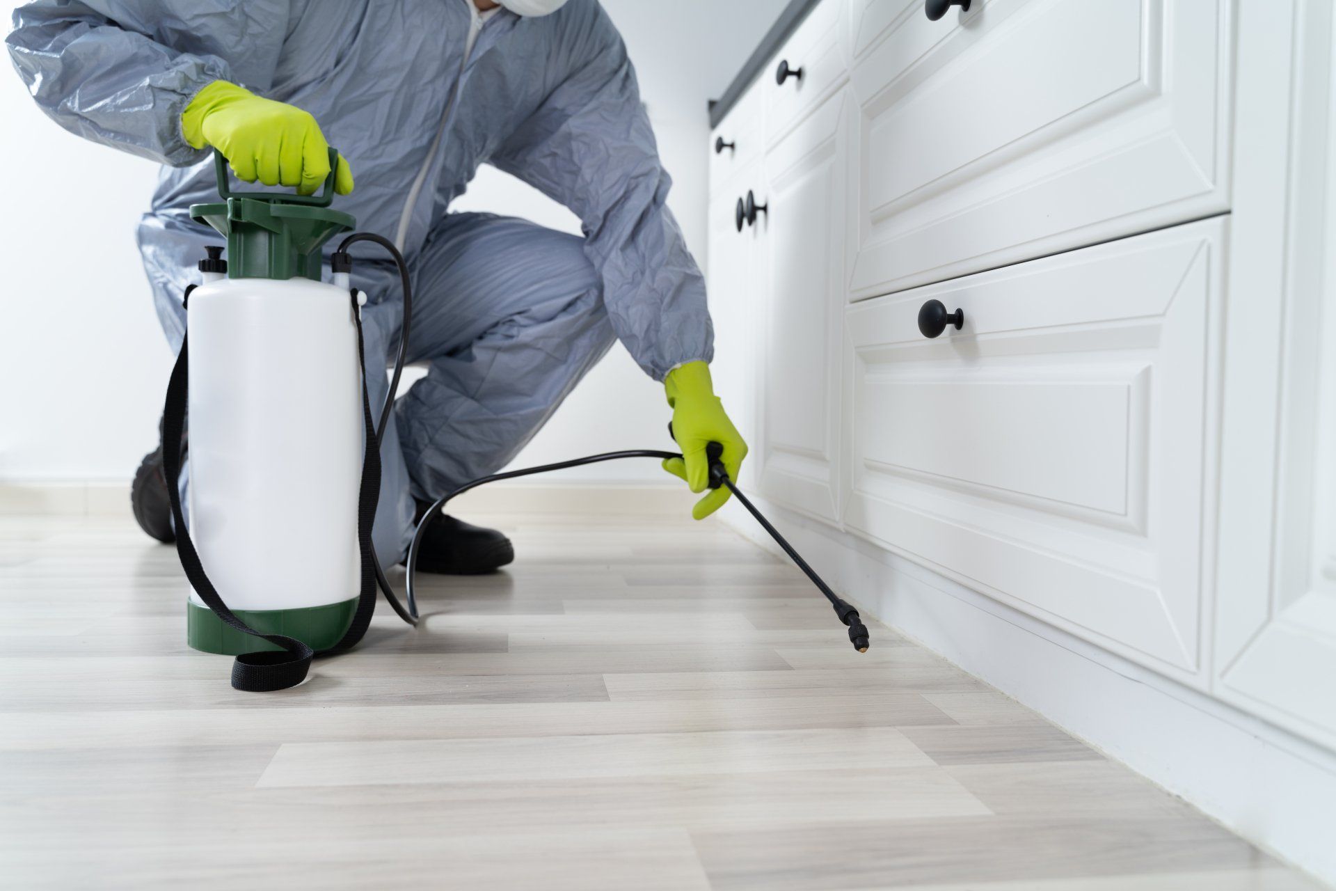 Termite Inspection Services Near You
